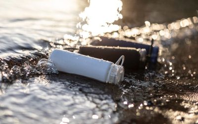 Quelles alternatives aux bouteilles en plastique ?