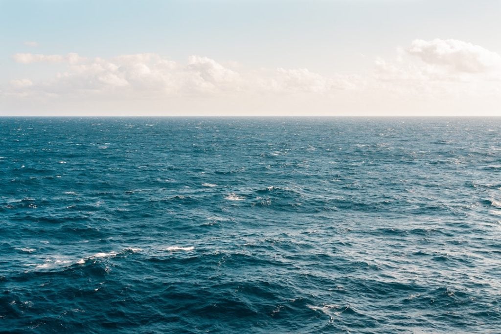 Journée mondiale environnement