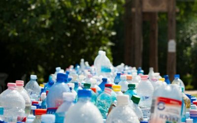 Les dangers des microplastiques dans l’eau en bouteille